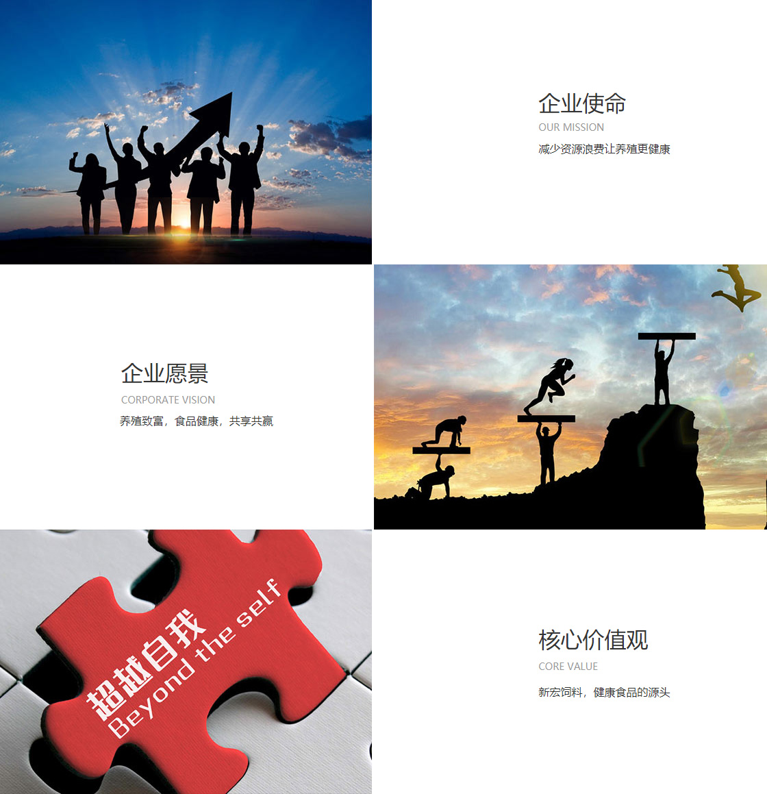 发展历程(图1)
